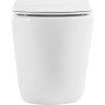 Унитаз приставной безободковый BELBAGNO BB2141CBR/BB865SC